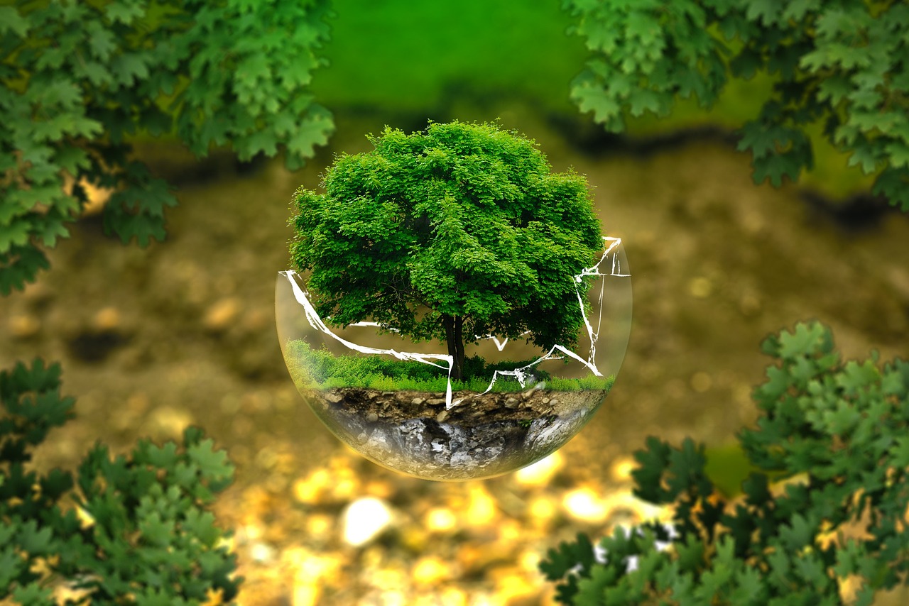 Environmental Services
